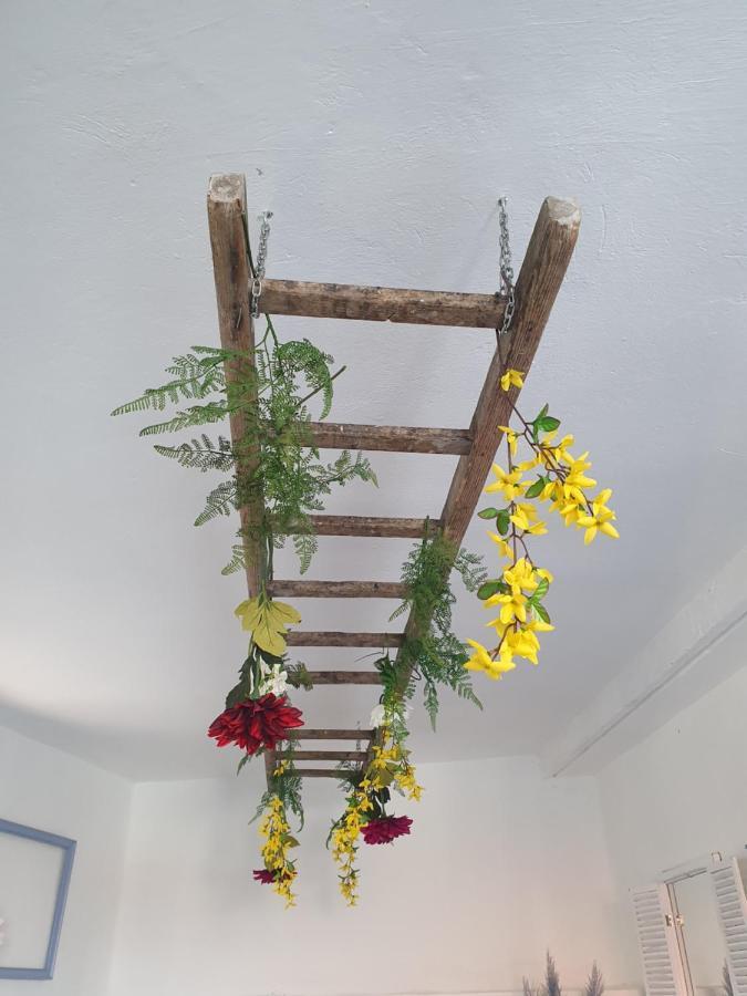 Infresh Holiday House Sibenik Ngoại thất bức ảnh