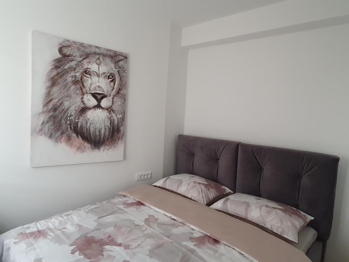 Infresh Holiday House Sibenik Ngoại thất bức ảnh